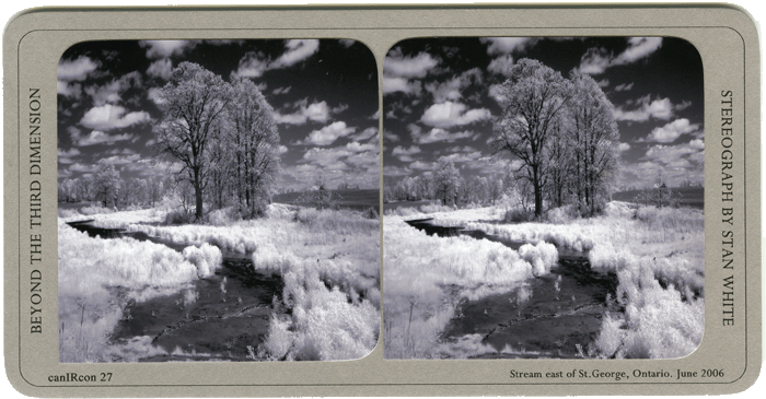 Stream Near St. George